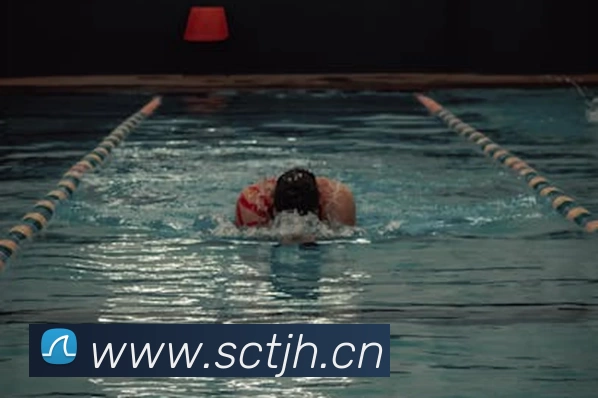 中国·尊时凯龙(有限公司) - 官方网站平台生态图